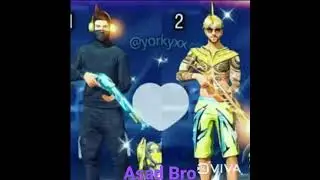 Amir Gaming