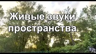 Живые звуки пространства. Звук - это сила.