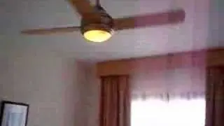 destroyed fan