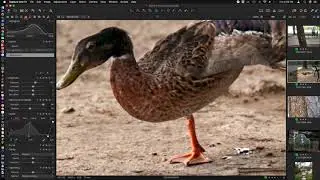 Sample images from Sigma 24-70mm 2.8