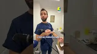 Voici l'un des seuls vétérinaires pour reptiles en France 🐍 
