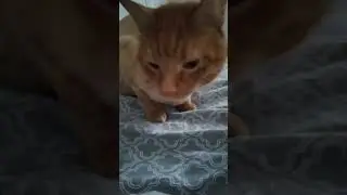 глаза😍😍😍