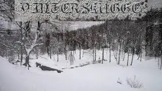 Vinterskugge - 