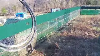 Раненый леопард в вольере Центра реабилитации