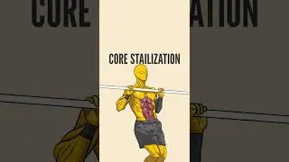 Pull-ups more than just a back exercise