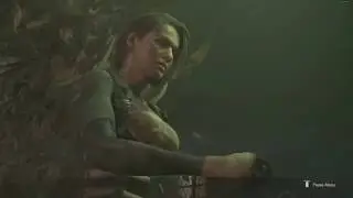 RE3 Nightmare S rank (Attempts & Success)