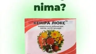 KEMERE LYUKSDI XONA GULLARI UCHUN QANDAY QULLANISHI VA FOYDASI.