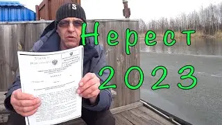 НЕРЕСТОВЫЙ ЗАПРЕТ 2023 г. Читаем закон, вспоминаем правила.