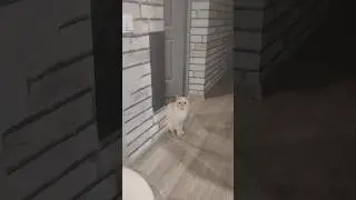 Сколько мне лет?!