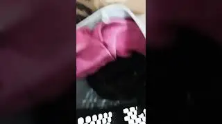bebe jaddy brava