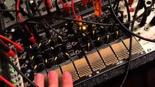 Sunday Funday Performance patch