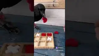 Умный