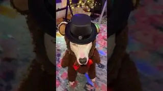 You’re so FREDDY! 