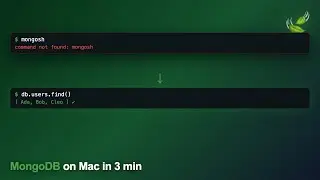 Complete MongoDB Setup on Mac (2026) — Install, CRUD, Compass & Backup