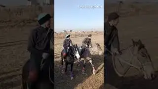 Көкпар 2024.  Алғабас ауылы.