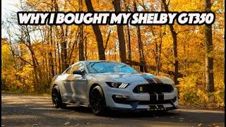 Why I bought the Ford Shelby GT350 | Future Plan for my new Car
