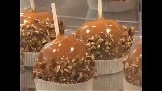 Next Stop: Colorado - Enstrom Almond Toffee