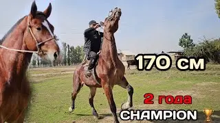 жылоологон ЧЕМПИОН 2 ЖАШ