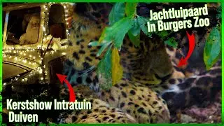 Christmasworld 2023 Intratuin Duiven 🎅🎄En Burgers Zoo🐯🦒  Weekvlog 263