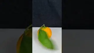 TANGHULU TANGERINES???
