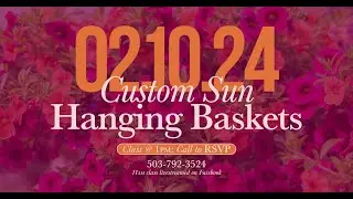2024 Bauman's Sun Basket Class Livestream Recording | February 10, 2024