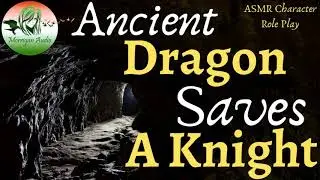 ASMR Character Role Play: Ancient Dragon Saves a Knight