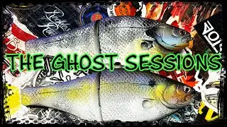 How To Paint A Faded Bluegill Pattern (The Ghost Sessions)