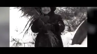 ПАМЯТЬ ОБ СССР