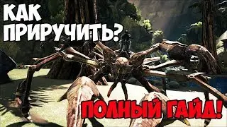 КАК ПРИРУЧИТЬ КАРКИНОСА?(ГИГАНТСКИЙ КРАБ) — ПОЛНЫЙ ГАЙД!/KARKINOS TAMING ► Ark: Survival Evolved #11
