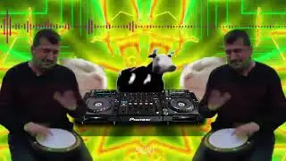 polish cow rave