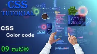 CSS Color Code | Web Design Full Course | CSS Video Series Sinhala | #09