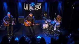 David Gray - Wisdom live at Whelan’s