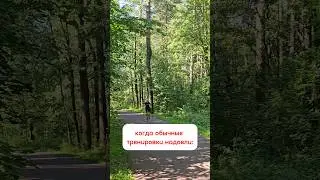 пора разнообразить тренировочное меню #спорт