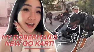 I BOUGHT MY DOBERMAN A GO KART