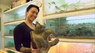 His house is a sanctuary for reptiles