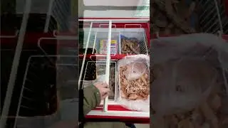 Зашел в магаз за мидиями. Может краба взять? #shop #город #russia #shoppingvlog