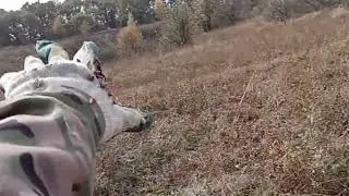 Копаю, хороший металл в кучу,а хлам сдаю!