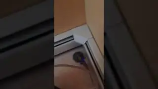 Stove gas line