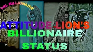 DON'T RUN BUT.💯😇 ~WhatsApp status#shorts attitude status#motivation #quotes