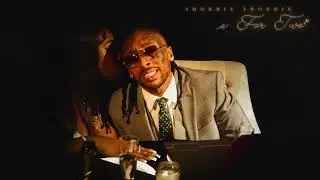 Shordie Shordie - Paid Lawyer (Visualizer)