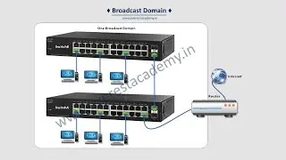 Broadcast Domain Animation (CCNA 200-301)