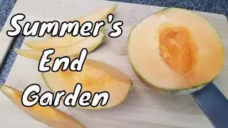 End of Summer Garden September 2023