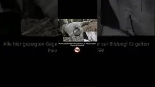 Просто жесть, а не коп! Зачётные времена.  