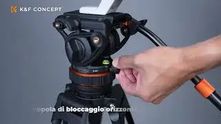 75,2