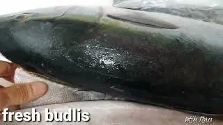 FRESH BUDLIS