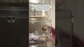 Ничего бизнесового – только личное 😀