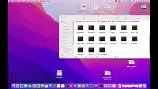 How to Set Env Variable for MYSQL Server on MacOs (2024)