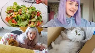 ПОСТАВИЛИ Вытяжку на Кухне 🎛 ПОМОЙНОЕ ВЕДРО ЗА 10К 😳 Я ПОКРАСИЛАСЬ 🌈