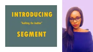 Introducing Auditing the Auditor Segment