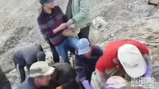 Қытайлар алтынды қайдан алады?
